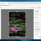 Image for article titled The Best Free Photoshop Alternatives
